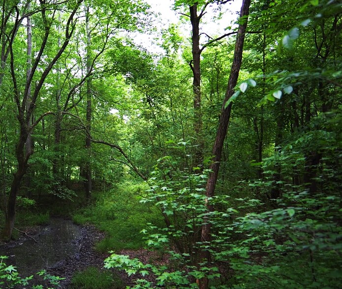 More Photos Of 2680 River Rd, Ellenwood Land For Sale