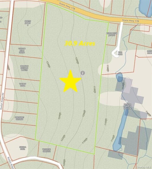 More Photos Of 1195 State Route 17B, Bethel Land For Sale