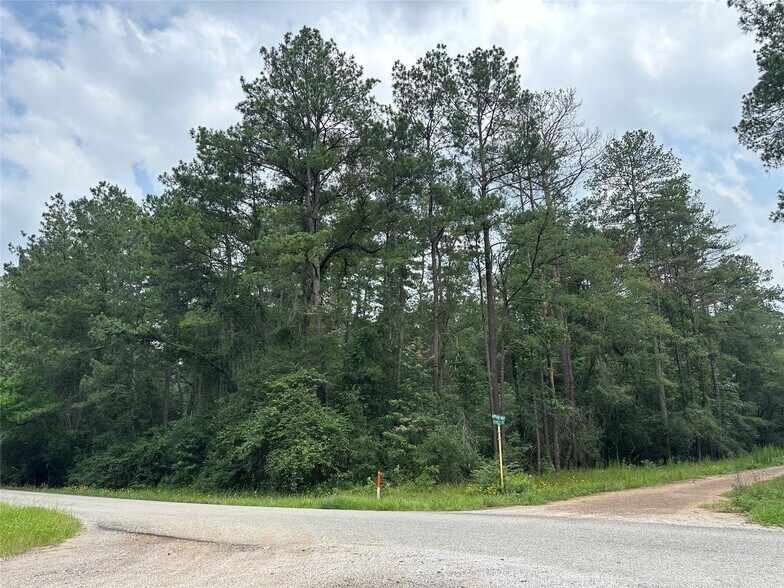 More Photos Of 19&20 Appian Way, New Caney Land For Sale