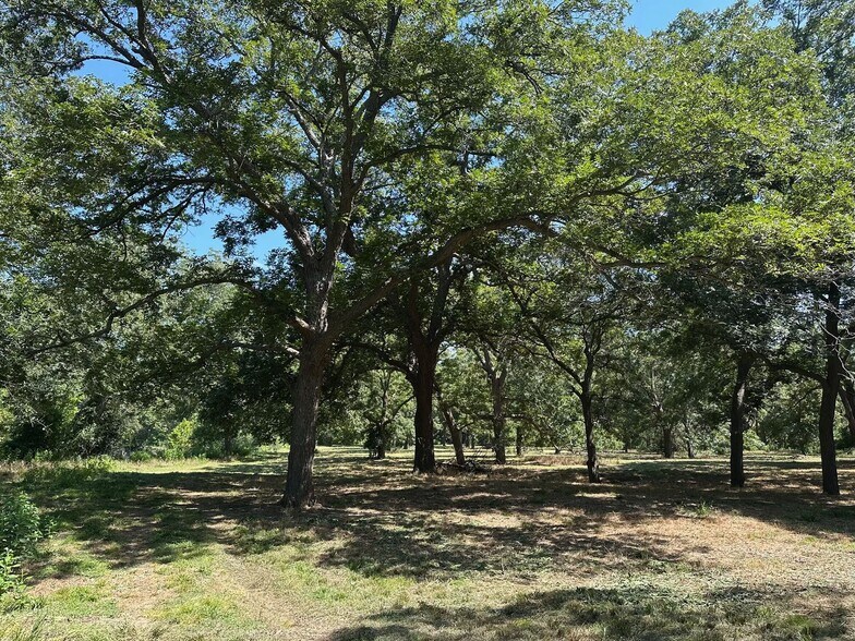 More Photos Of 10485 FM 466, Seguin Land For Sale