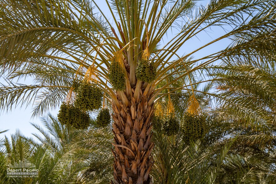 More Photos Of 75317 Polk St st, Thermal Land For Sale