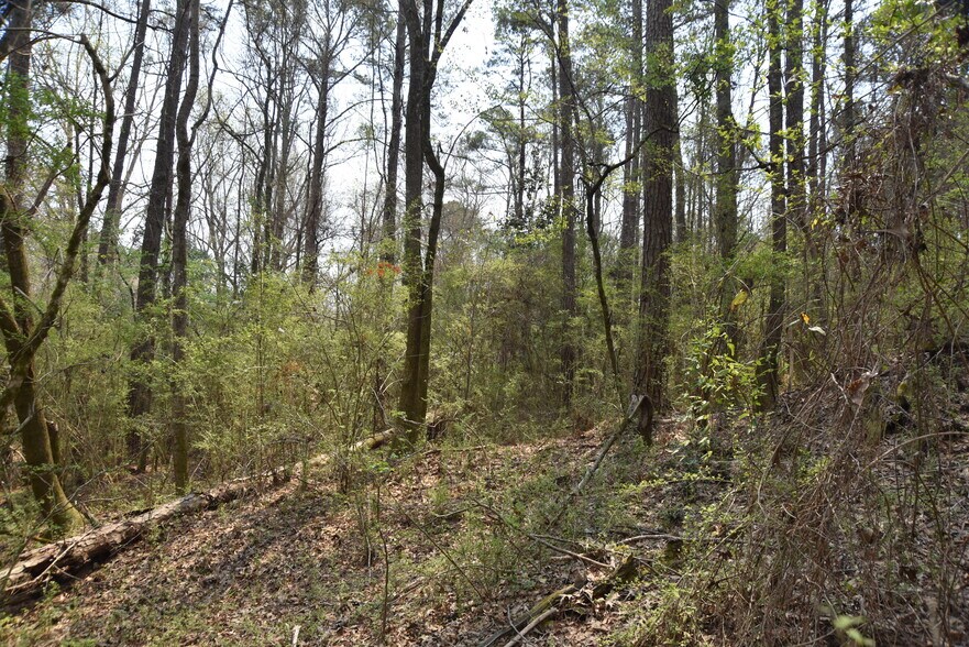 More Photos Of Warm Springs Rd @ GA-208, Waverly Hall Land For Sale