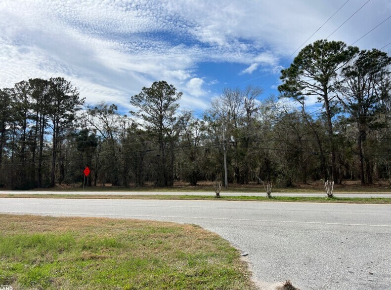 More Photos Of 3855 Darien Hwy, Brunswick Land For Sale