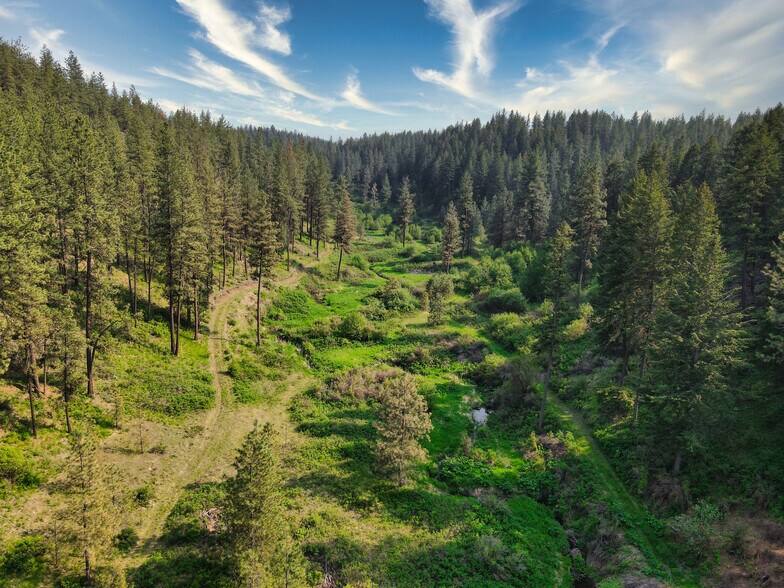 More Photos Of 45XXX Devore Rd, Davenport Land For Sale