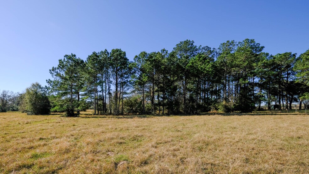 More Photos Of 26266 Fields Store Rd., Waller Land For Sale