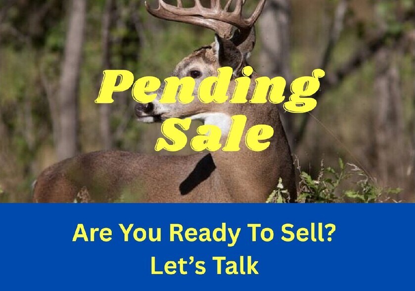 More Photos Of SW Corner Missouri 139 Highway & County Road 150, Hale Land For Sale