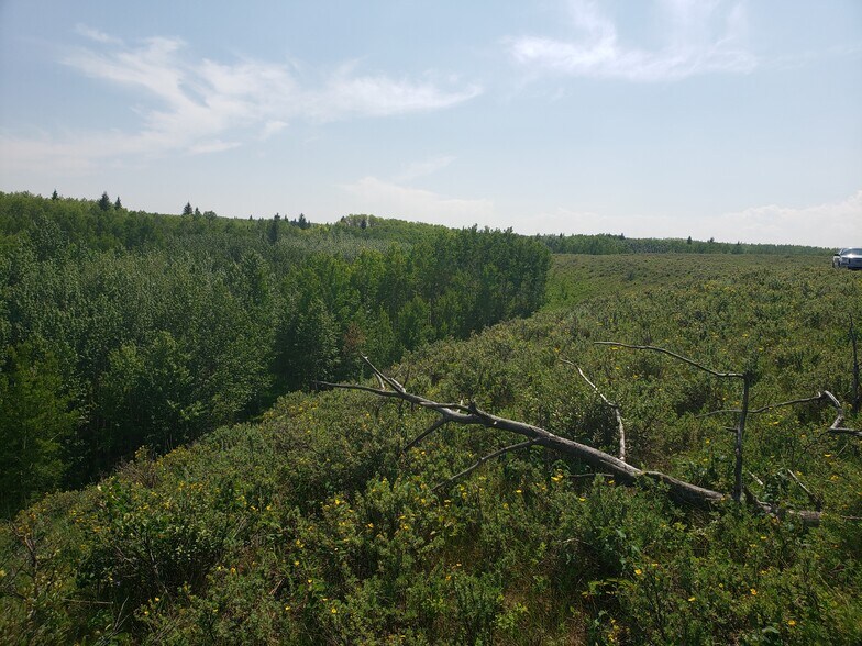 More Photos Of 2 Bow River, Rocky View No 44 Land For Sale