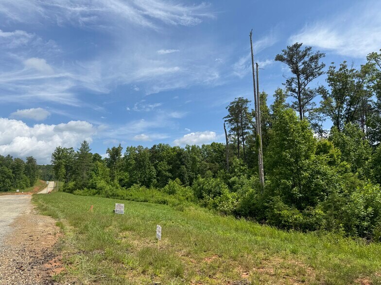 More Photos Of Hwy 515, Morganton Land For Sale