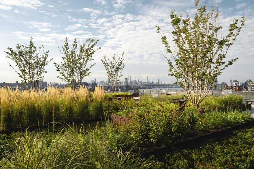 More Photos Of 63 Flushing Ave, Brooklyn Office For Lease