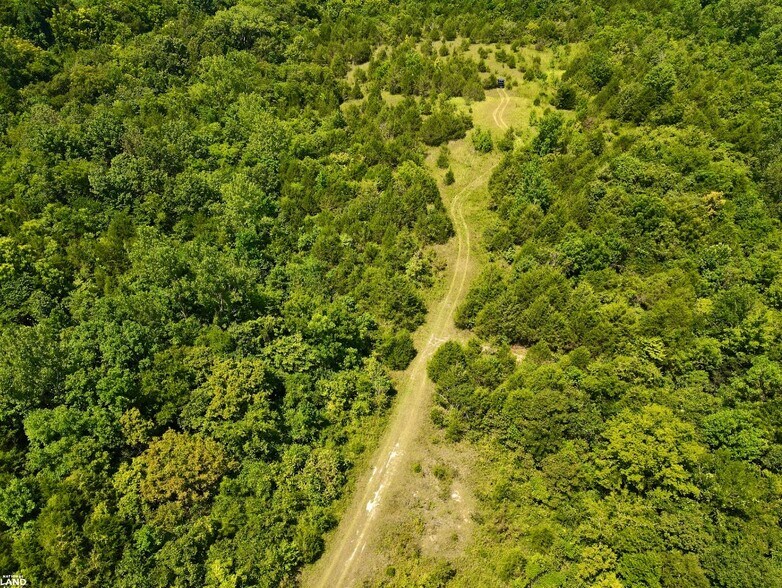 More Photos Of 0 Hwy 28, Livingston Land For Sale