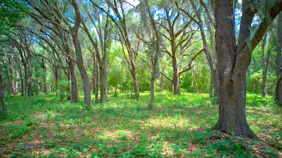 More Photos Of 3267 Neff Lake Rd, Brooksville Land For Sale