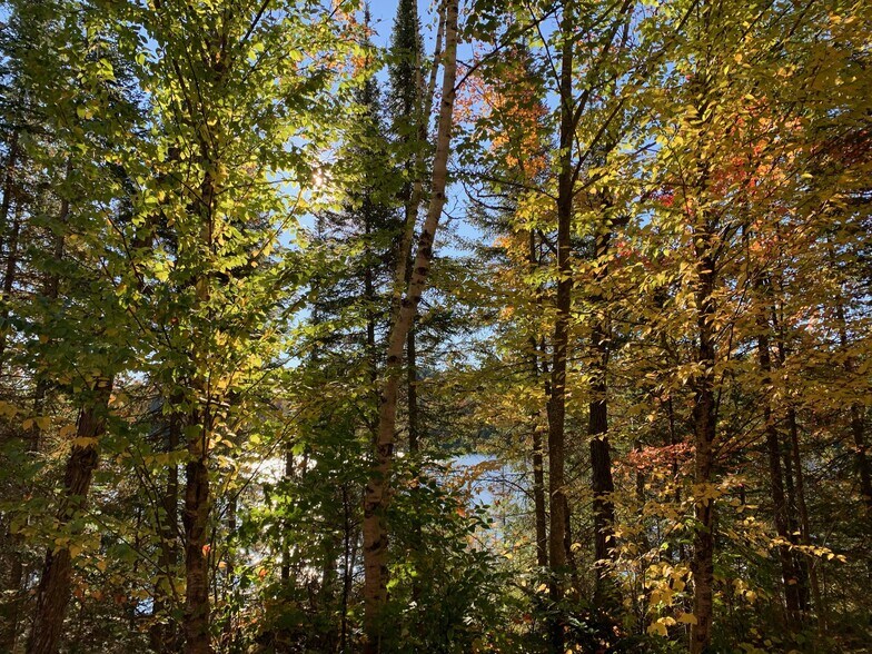 More Photos Of Ch Chemin du Lac-La Salle, Val-morin Land For Sale