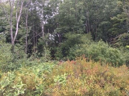 More Photos Of 1900 Methodist Rd, Westbrook Land For Sale