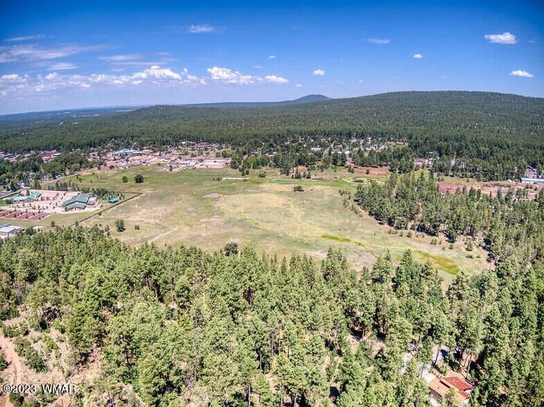 More Photos Of SEC Penrod Ln & Highway 260, Pinetop Land For Sale