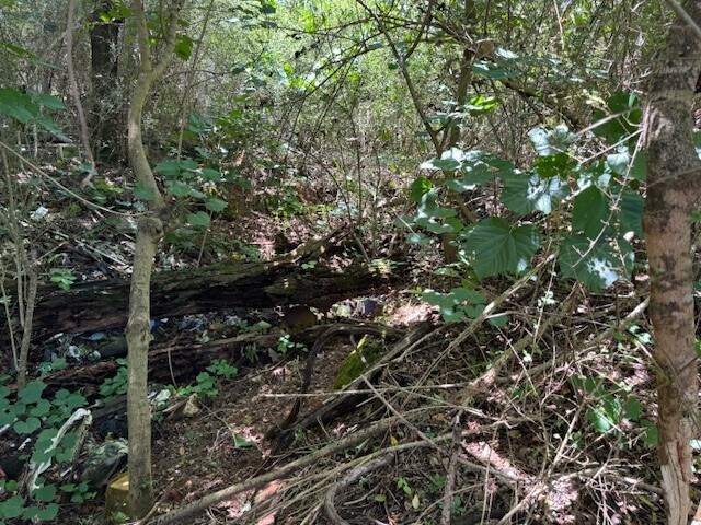 More Photos Of 31060 Cometti Ln, Spanish Fort Land For Sale