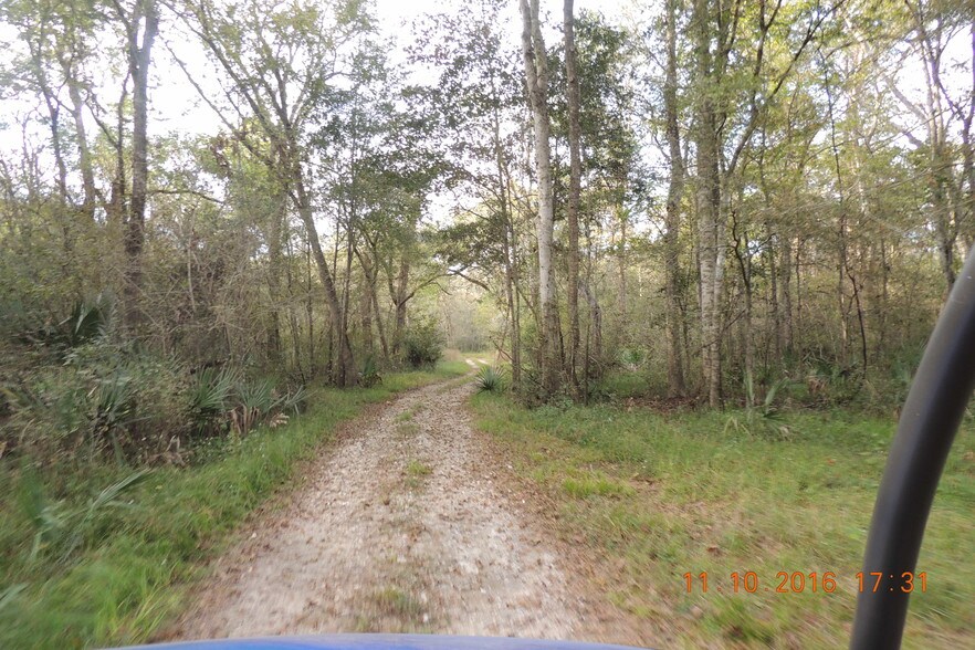 More Photos Of 6545 Fm 149 Rd, Montgomery Land For Sale