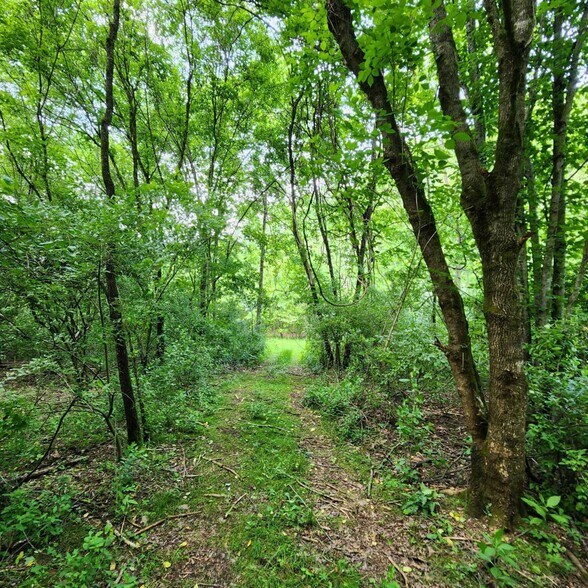 More Photos Of 0 Wayfield Drive, Johnson City Land For Sale