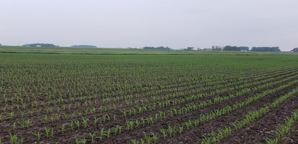 Primary Photo Of 0 330th Ave 0 330th Ave, Westbrook Land For Sale