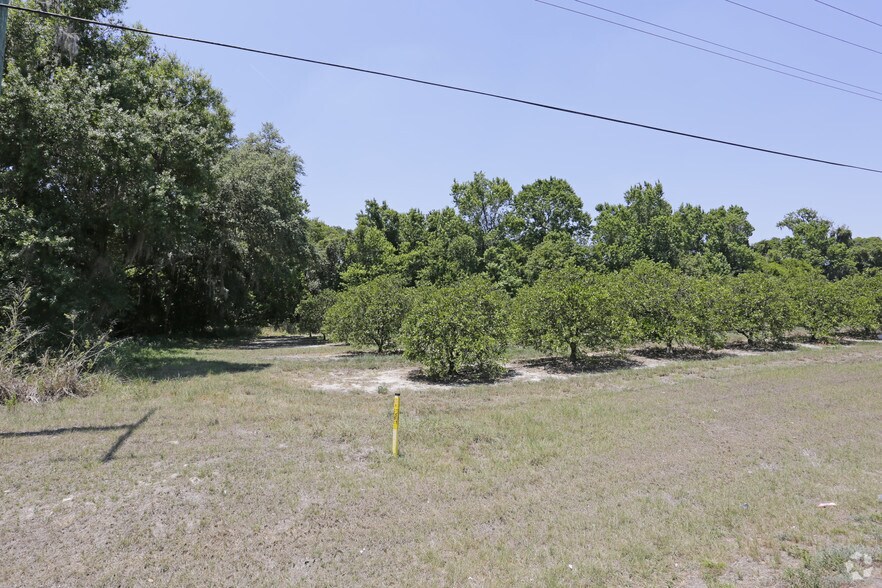More Photos Of 2360 US Hwy 17 S, Wauchula Land For Sale