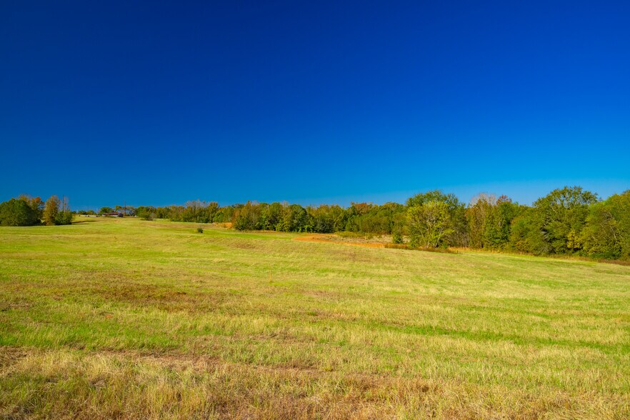 More Photos Of 391 Farm to Market 1519, Scroggins Land For Sale