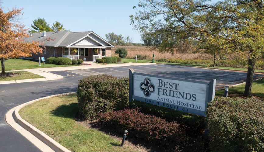 More Photos Of 1203 N Il Route 83, Grayslake Specialty For Sale