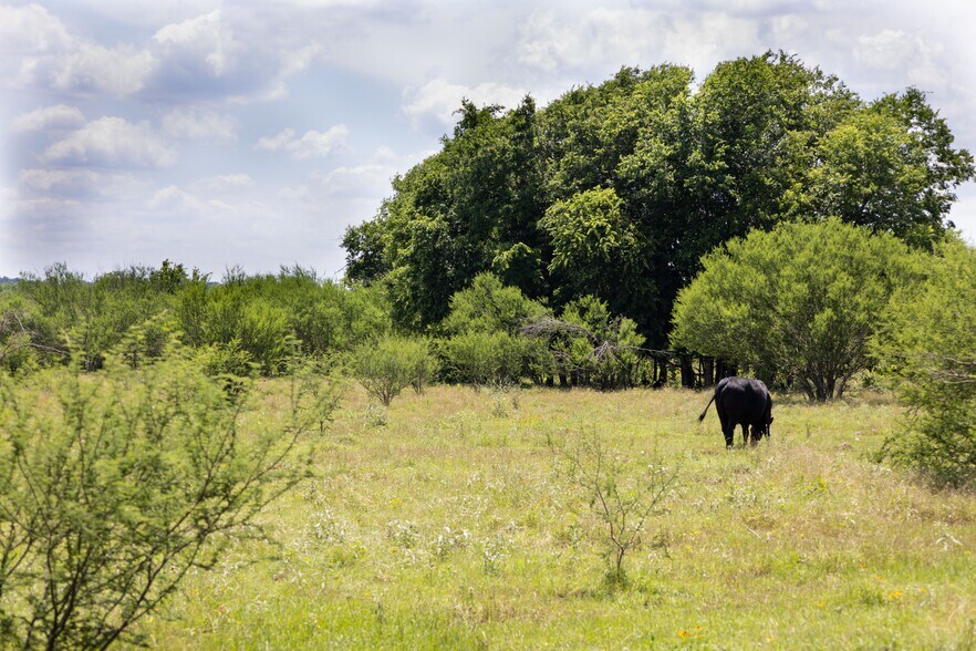 More Photos Of TBD Hwy 71, Smithville Land For Sale