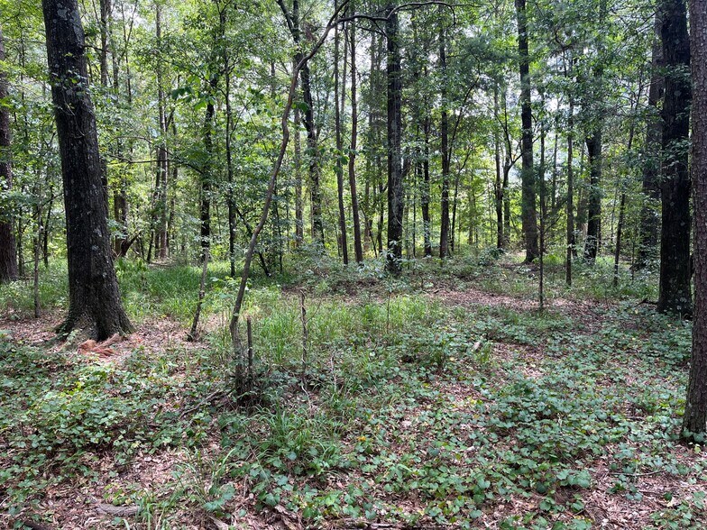 More Photos Of 7989 AL-75, Pinson Land For Sale