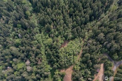 More Photos Of N US Hwy 101, Lilliwaup Land For Sale