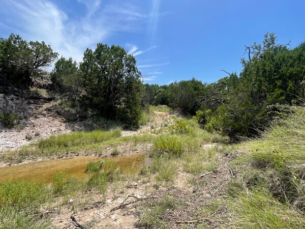 More Photos Of 221 W Rolling Oaks Dr, Goldthwaite Land For Sale