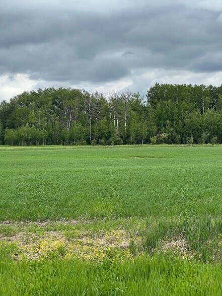 More Photos Of 714002 Range Road 85, Wembley Land For Sale