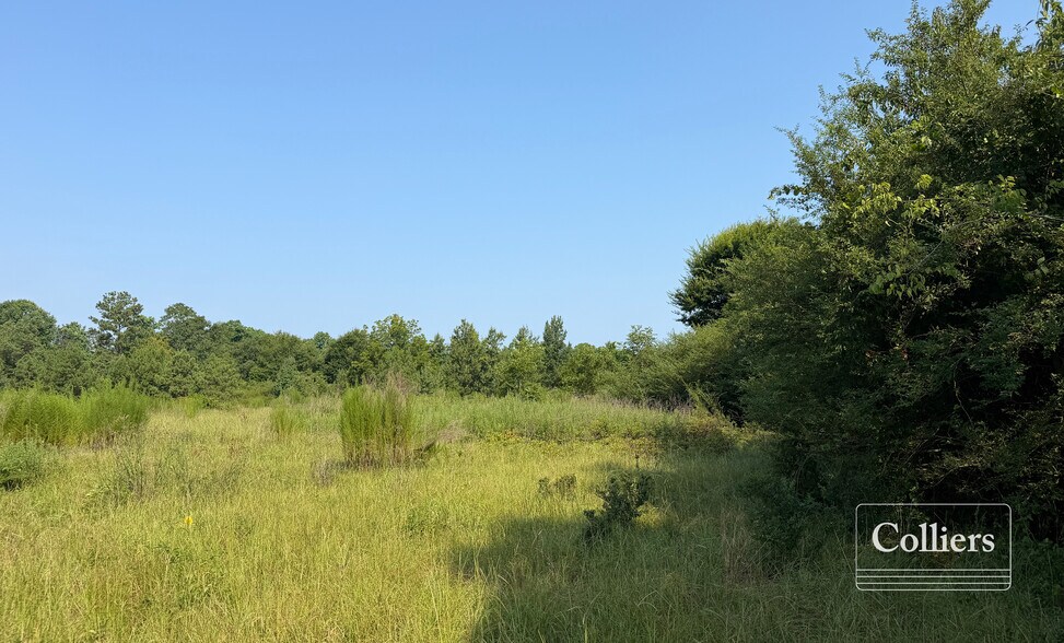More Photos Of Joes Trail, Monetta Land For Sale