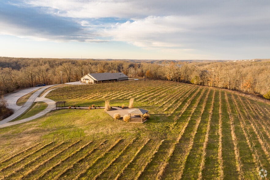 More Photos Of 846 Winery Hills Est, Linn Creek Winery Vineyard For Sale