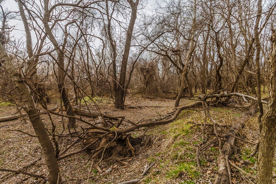 More Photos Of 79+/- Acres on 272nd Rd. Rd @ 41st Rd, Arkansas City Land For Sale