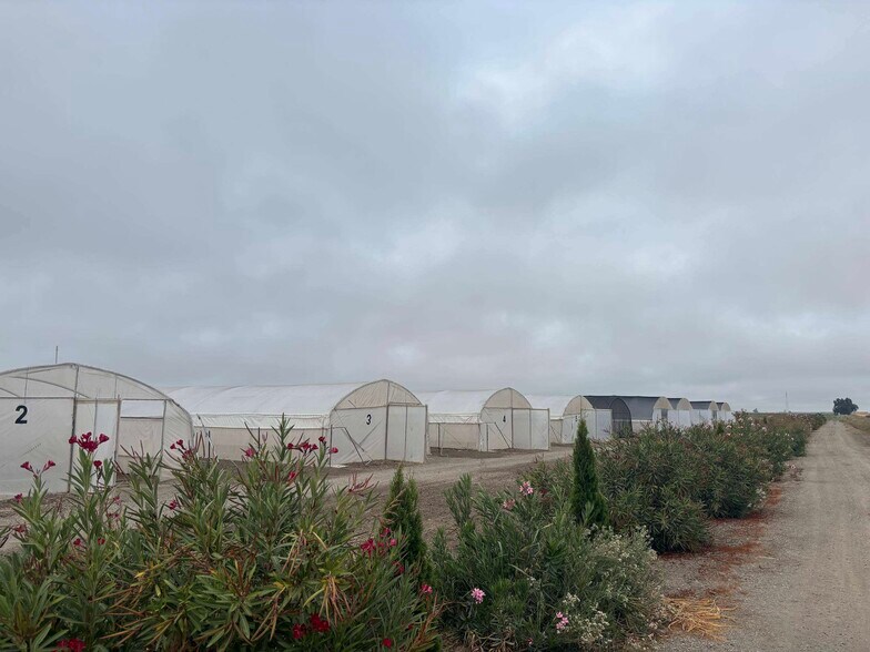 More Photos Of Fruchtenicht @ Wilson Bend Rd, Meridian Land For Sale
