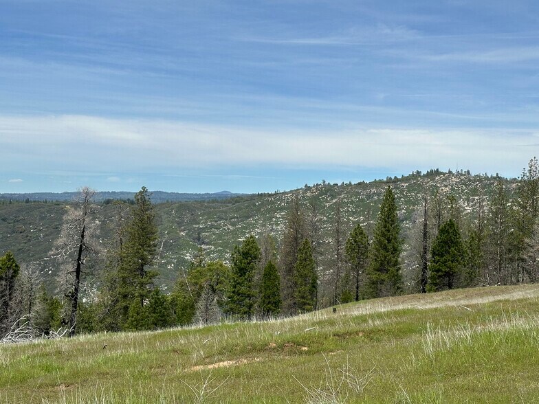 More Photos Of Hawk Haven Lane, Somerset Land For Sale