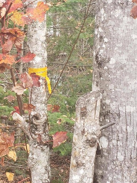 More Photos Of 00 Keefe Way, Ellsworth Land For Sale