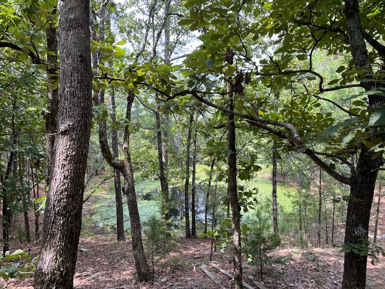 More Photos Of 27546 Reservation Rd, Daisy Land For Sale