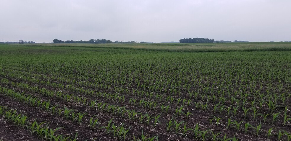 More Photos Of 0 330th Ave 0 330th Ave, Westbrook Land For Sale