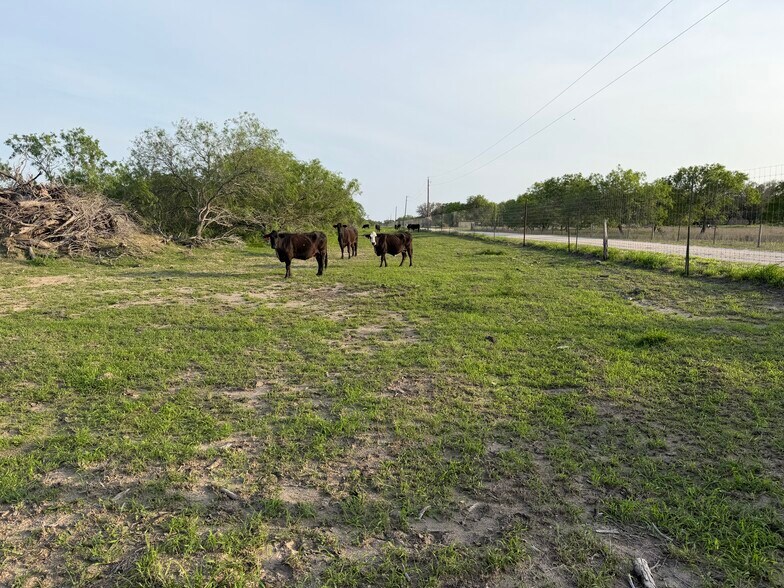 More Photos Of 160 S County Road 1040, Kingsville Land For Sale