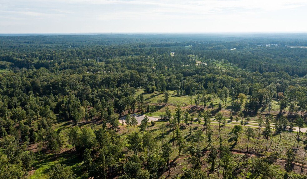 More Photos Of 301 Brighton Blvd, Chapin Land For Sale