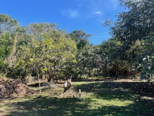 More Photos Of 77-6316 Mamalahoa Hwy, Holualoa Apartments For Sale