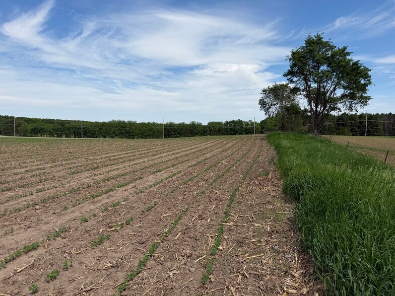 More Photos Of TBD 31st NW Ave @ HWY 52/75th Street NW, Oronoco Land For Sale