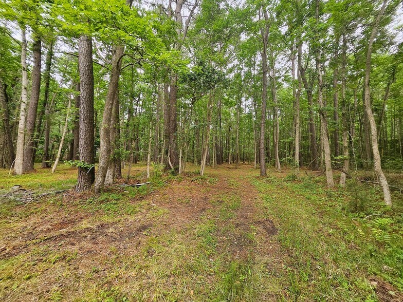 More Photos Of 6549 Highway 17 Hwy, Awendaw Land For Sale