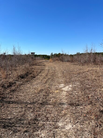 More Photos Of TBD South Carolina 38 Hwy, Bennettsville Land For Sale