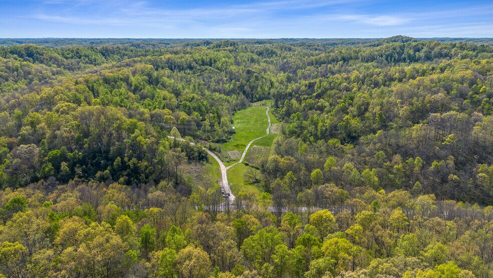 More Photos Of Knipp Branch, Grayson Land For Sale