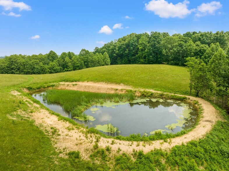 More Photos Of 1945 Pittman Branch Rd, Mount Vernon Land For Sale