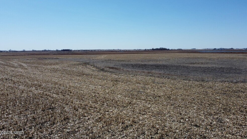 More Photos Of 0 441st Ave, Webster Land For Sale