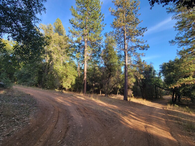 More Photos Of 3369 N Railroad Flat Rd, Wilseyville Land For Sale