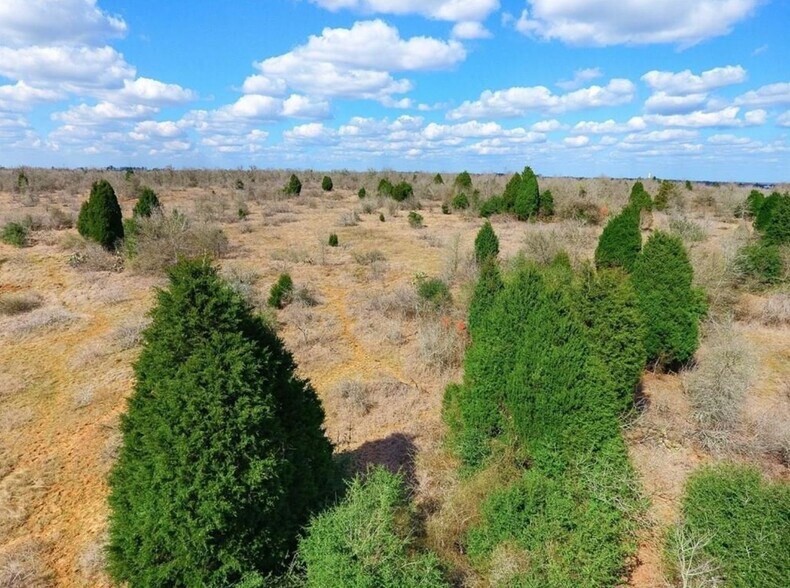 More Photos Of 1119 County Road 301, Elgin Land For Sale