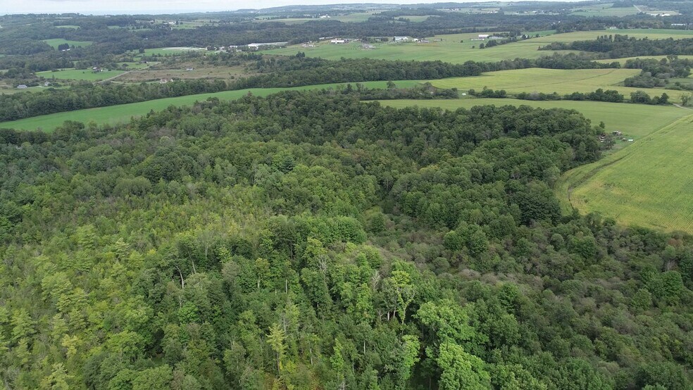 More Photos Of 2349 Fenner Rd, Cazenovia Land For Sale